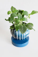 Navy Batik Inspired Loa Planter