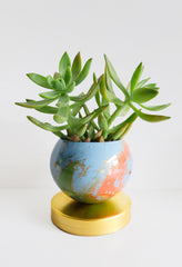 Blue, Coral, and Green Marbled Loa Planters
