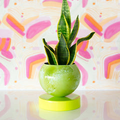 Neon Green & Mint Marbled Loa Planter