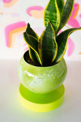 Neon Green & Mint Marbled Loa Planter