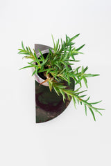 Olive & Eggplant Marbled Demilune Planter