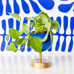 blue and brass lifted loa planter in mediterranean blue and brass with a green pothos plant on an abstract blue and white background
