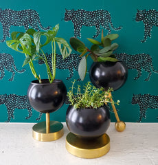 Lifted Loa Planter