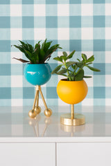 Lifted Loa Planter