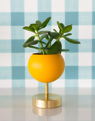 Mustard and Brass midcentury modern inspired planter by sazerac stitches