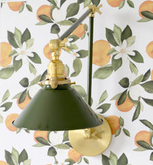 Olive and Brass adjustable sconce on orange blossom wallpaper