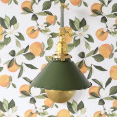 Olive and Brass adjustable sconce on orange blossom wallpaper front view