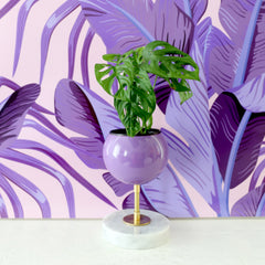 Raised Marble Loa Planter