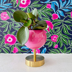 Lifted Loa Planter