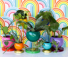 Rainbow Planter Collection