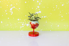 Mint and Red Marbled Planter handmade in New Orleans