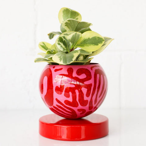 Red & Pink Squiggle Loa Planter