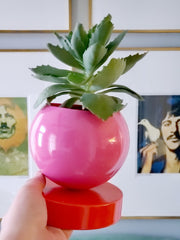 Pink and Red color blocked planter