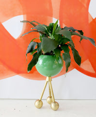 Spring Green Loa Hoffman planter with a healthy peace lily