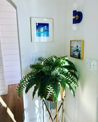 Navy and brass wall sconce in a corner with white walls, colorful blue art, and a fern in a brass planter on a stand.