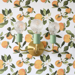 Julia Sconce