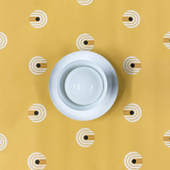 Sonny Sconce or Flushmount Ceiling Light