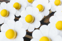White and yellow daisy drawer pulls.