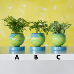 Neon Green & Pastel Blue Marbled Planters