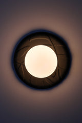 Matte black unglazed porcelain wall sconce lit on wall, warm glow around frosted glass globe, sculptural leaf relief details