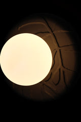 Matte black unglazed porcelain sconce illuminated, frosted globe centered on leaf-textured ceramic backplate, warm ambient wall light