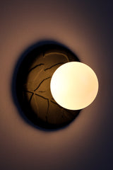 Matte black unglazed porcelain wall sconce lit on wall, warm glow around frosted glass globe, sculptural leaf relief details