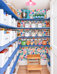 A walk-in pantry wrapped in peach, pink, and green fruit wallpaper, with cobalt blue open shelving, labeled storage bins, and glass canisters for baking staples. A doll pink flushmount with brass hardware finishes the look overhead instead of a plain utility fixture. Proof that an organized pantry and a colorful one aren't mutually exclusive.