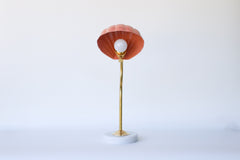 Coquille Lamp