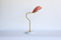 Coquille Lamp