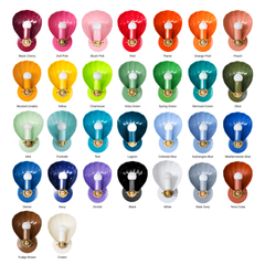 Coquille Sconce