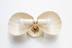 Double Coquille Sconce