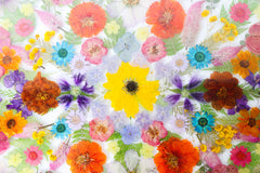 Floral Kaleidoscope Tray #1