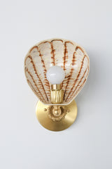Coquille Sconce shown front-facing with painted shell design in earthy cream and brown tones, ribbed brass socket holder, and floral brass backplate; unique coastal-inspired lighting fixture