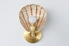 One-of-a-kind wall sconce with sculptural shell-shaped shade in cream powder-coated steel, painted with organic sienna and ochre strokes; paired with elegant brass accents and vintage detailing, handmade in New Orleans