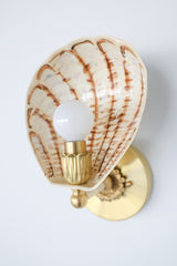 Art Deco-inspired hand-painted wall sconce with a fluted shell-shaped shade in warm cream and layered brown brushwork, finished with fully brass hardware; limited edition lighting from Sazerac Stitches’ One-of-One collection