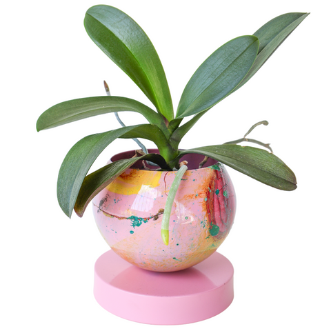 Pastel Pink, Green, Yellow, & Red Marbled Loa Planter