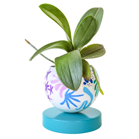 Rainbow & Teal Squiggle Loa Planter