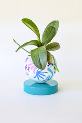 Rainbow & Teal Squiggle Loa Planter