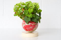 Red, Cream, & Gold Marbled Loa Planter