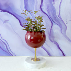 black cherry raise loa planter with purple marble wallpaper