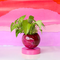 pink and black cherry marbled loa planter