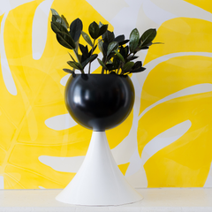 White and Black colorblocked planter on a yellow background