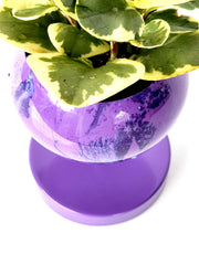 Marbled Purple raised loa planter