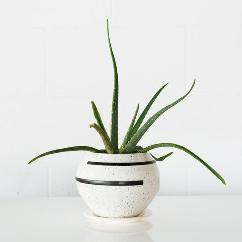Delta Planter