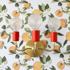 Orange Red and Brass three light wall sconce with an orange blossom wallpaper