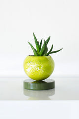 Chartreuse & Olive Marbled Loa Planter