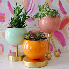 Colorful planters on pink abstract paper