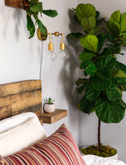 Brass two light wall sconce with a plug in cord above a small nightstand