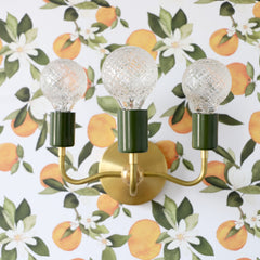 Olive and Brass Julia Sconce on Orange Blossom wallpaper