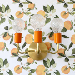 Orange Peel and Brass Julia Sconce on orange blossom wallpaper
